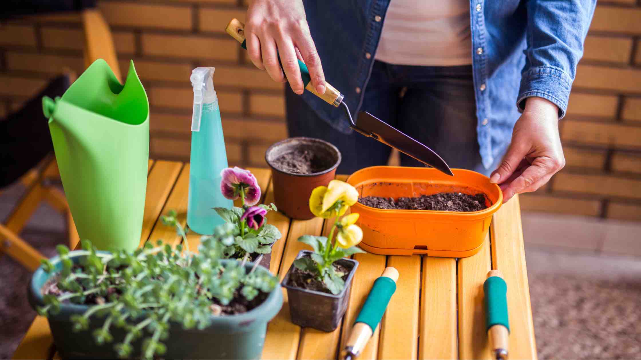 gardening 