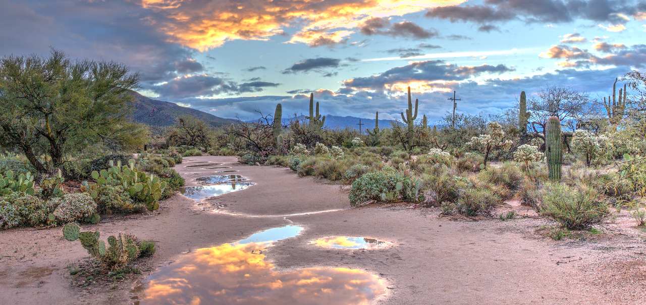 Tucson Arizona in the winter with desert landscapes