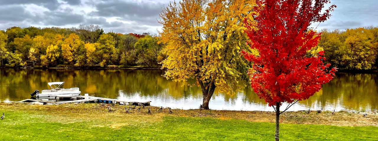 A boat in the river and the bank filled with trees and grass