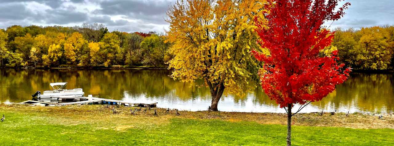 a river with colorful trees