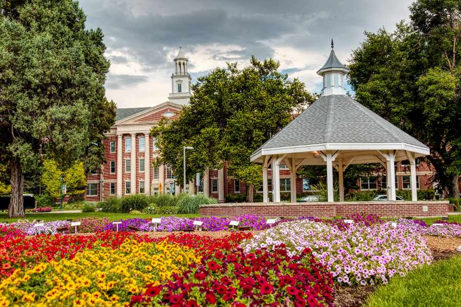 flowers and a Gazebo in Fort Collins