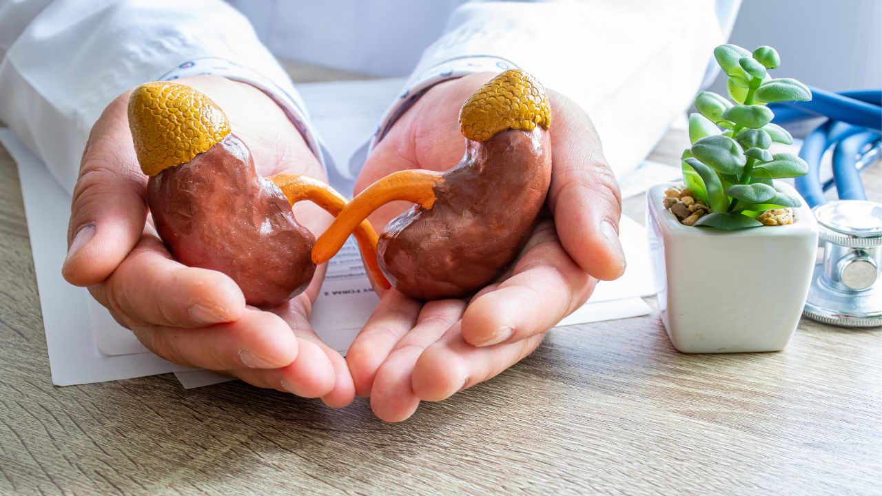 two kidneys
